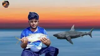 Balochistan gwadar samandar machhali shikar ki picnic part 2(2025)#Barkat Ali nigorei