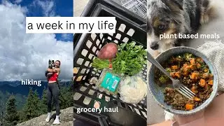 weekly vlog, plant based meals, clothing + grocery haul, liver cleanse