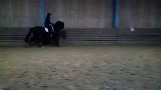 Калип менка в темп