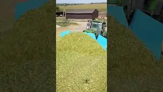 Заготівля силосу
