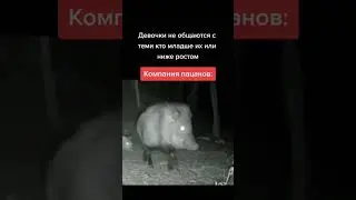 МЕМ Кто с кем общается