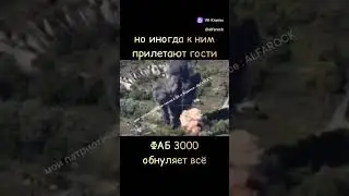 приключения хохлов в Курске #сво #россия