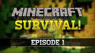 minecraft survival series ep1 😍 @minecraft #minecraft