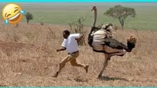 Funny Videos Compilation 🤣 Pranks - Amazing Stunts- by Mr Vava#44
