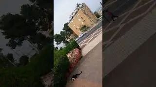 КОШКА ОХРАНЯЕТ СКЛАД С ЕДОЙ