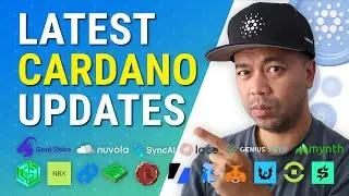 Cardano ADA News Update! Latest Cardano Updates 12th Aug, 2024