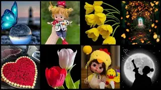 Dp Pictures For Whatsapp 💕 | Cute Dp Images 🔥 | Dp Photo 😍