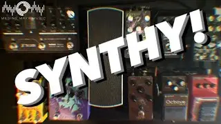 Synth Bass Without The Synth: No Talking