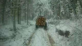 Возим дрова т-25 + газ 66 шишига