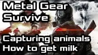Where to get Milk/How to capture Animals - Metal Gear Survive