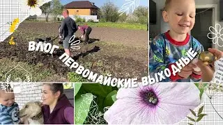 ПРОДОЛЖАЕМ УБИРАТЬСЯ НА УЧАСТКЕ/ ГОТОВИМСЯ К ПАСХЕ