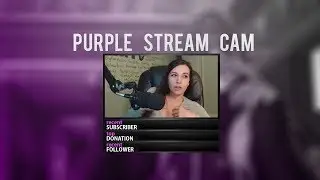 Free Twitch Overlay Template - Stream Purple Cam - PSD - Free Download