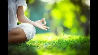 The Zen Teaching of Huang Po by John Blofeld, P'ei Hsiu (1-Min Book Review, With Giulio D'Agostino)