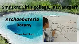 Archaebacteria (Botany) #SMDTKM
