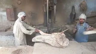 wood cutting with chain saw|hardworking man cutting woods