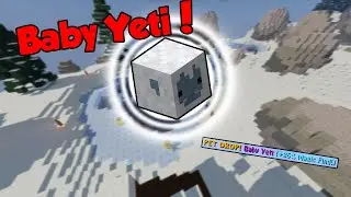 BABY YETI Pet Drop! | Hypixel Skyblock