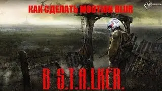 Как сделать из S.T.A.L.K.E.R.'а Crysis(motion blur)