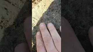 ИНТЕРЕСНАЯ НАХОДКА 😱. Металлокоп.