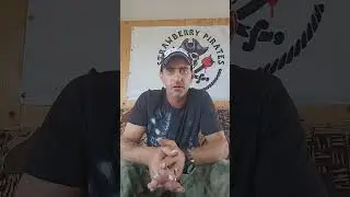 Дебилизация населения планеты