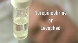 Critical Care ICU Medication = Levophed