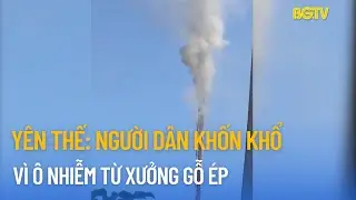 Yên Thế: Người dân khốn khổ vì ô nhiễm từ xưởng gỗ ép