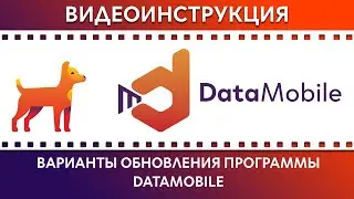 DataMobile: Урок № 38. Варианты обновления программы DataMobile