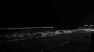 Salvatore -Lana Del Rey