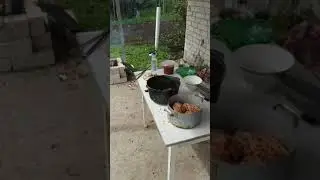 Шашлык