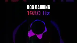 Dog Barking 1980 Hz (Turn Volume Up)