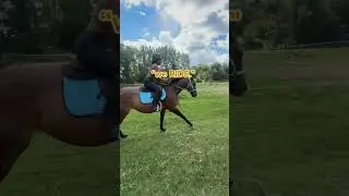 we rideeee