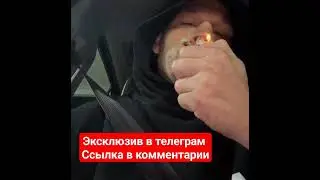 Нейт Диас на расслабоне😂