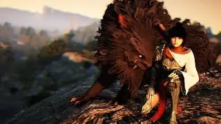 Black Desert Online | Combat Dynamique (TaMer)