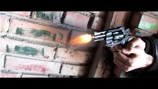 Выстрел из флобера в аэрозольный баллон, грибочки и реакция собак на флобер