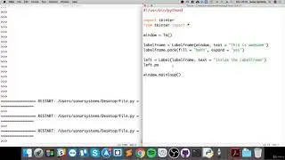 84- Easy Python Programming Label Frame