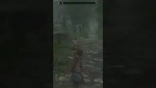 “An Honest Skyrim citizen…”