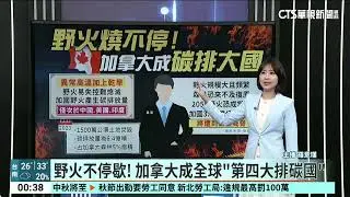 乾旱加飢荒! 非洲納米比亞撲殺野生動物充飢引議論 ｜52華視國際特區｜20240914