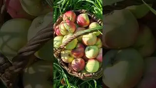 Полюбить себя?❤️