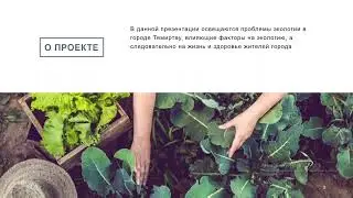 Результат исследования об экологии городской среды