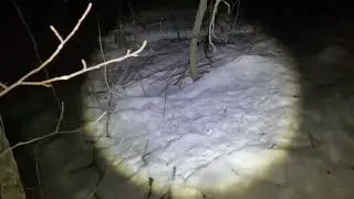 Охота с арбалетом
