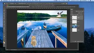 Photoshop CC 2020 - Basics of combining photos (Part 1)