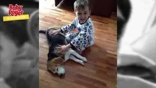 Baby Roger - Ep. 01 Segunda Temporada  -  Meu bebê e os animais domésticos