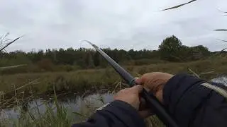 Perch fishing with a side nod