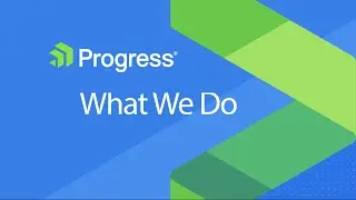 Progress CEO Talks: What We Do