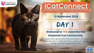 iCatConnect - Day 1 - 13 November 2024
