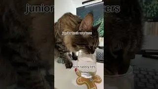 Junior tech workers vs their salaries 🥲