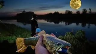 NOITE DE LUA CHEIA AS TRAIRAS SURTAM!!!