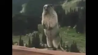 Хозяин работа есть