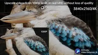 AI Upscale Videos from 1080p to 4K without Loss of Quality
