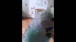 Brian