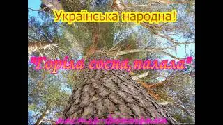 Укр.народна! ГорIла сосна,палала.
